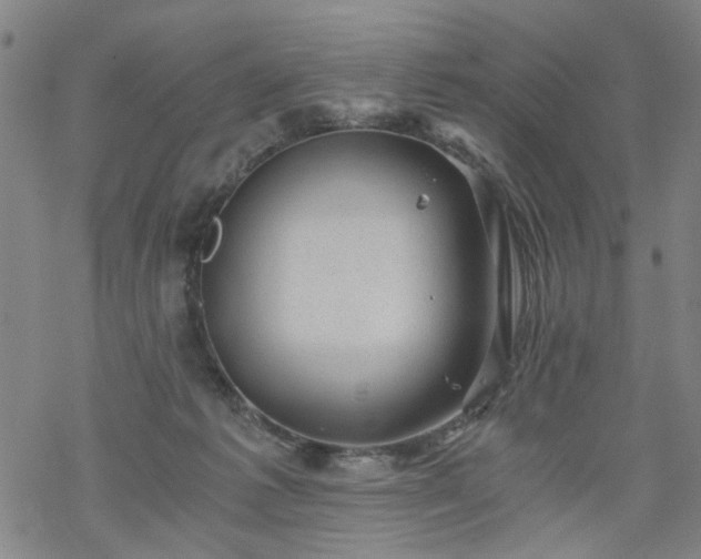 X0000068900221200605122108