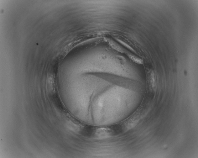 X0000068900222200605122108