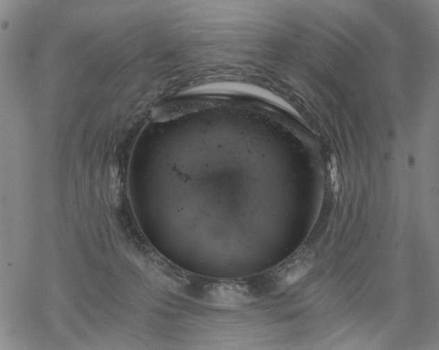 X0000068900223200605122108