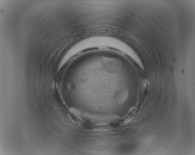 X0000068900224200605122108