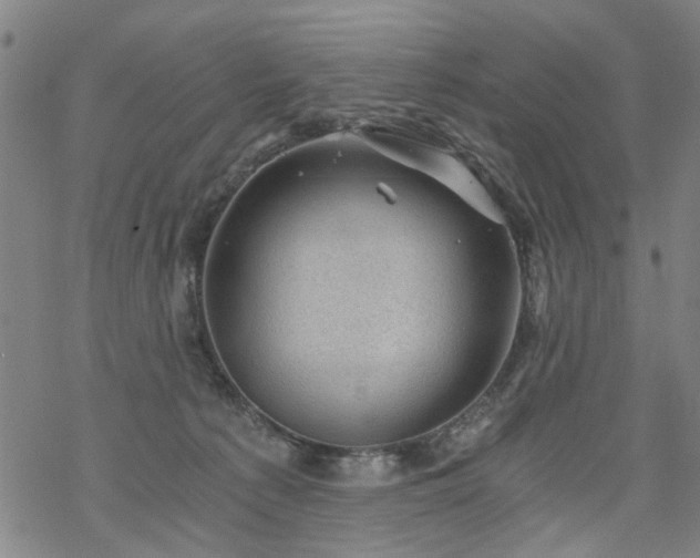 X0000068900225200605122108