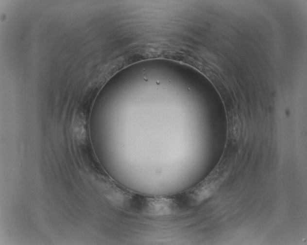 X0000068900226200605122108