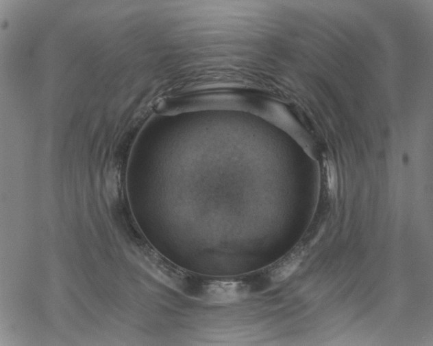 X0000068900227200605122108