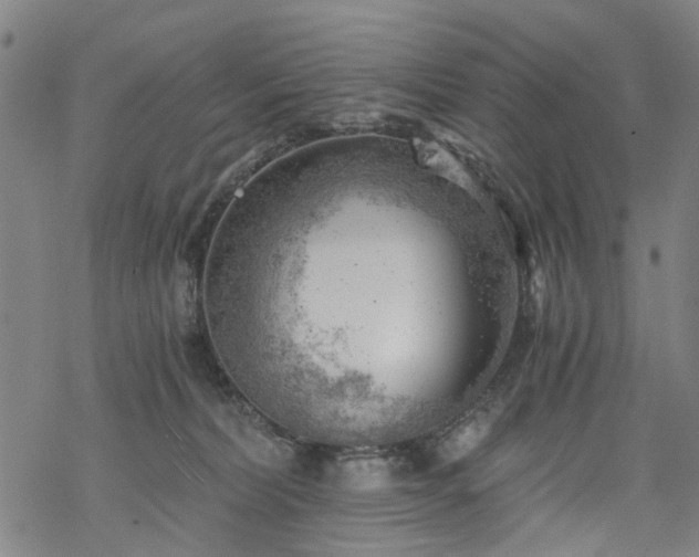 X0000068900228200605122108