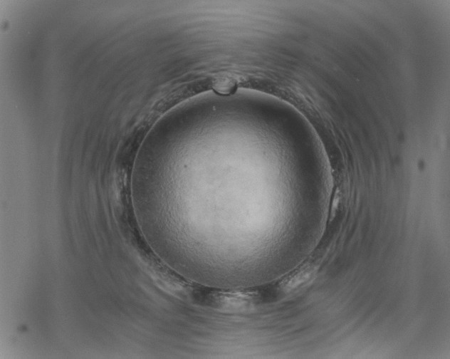 X0000068900229200605122108