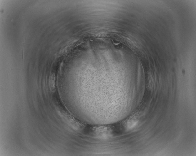 X0000068900230200605122108