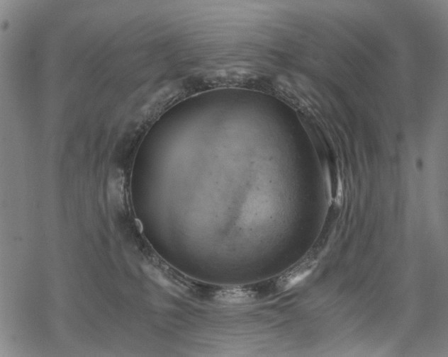 X0000068900231200605122108