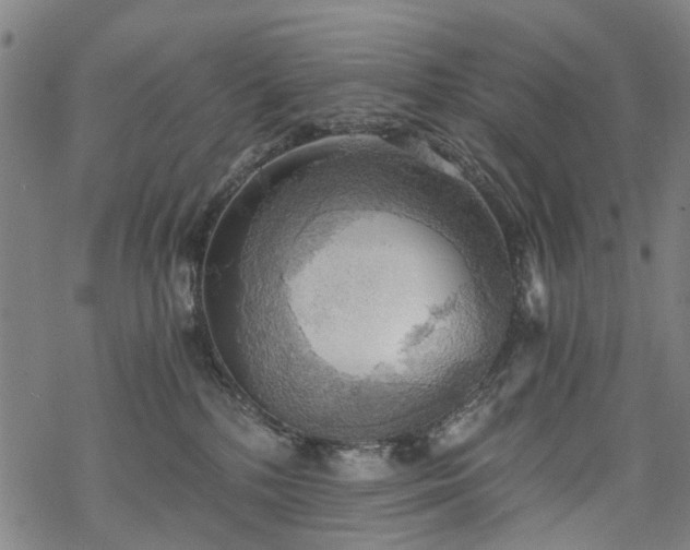 X0000068900232200605122108