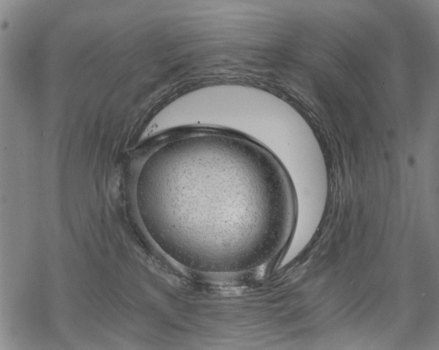 X0000068900233200605122108