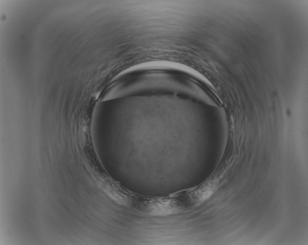 X0000068900235200605122108