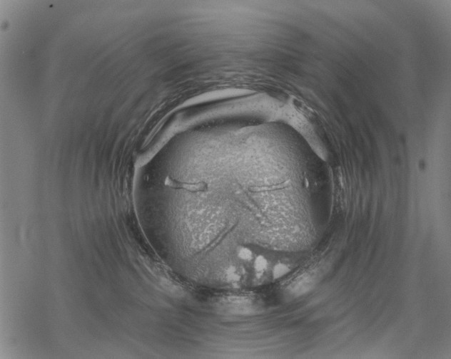 X0000068900236200605122108