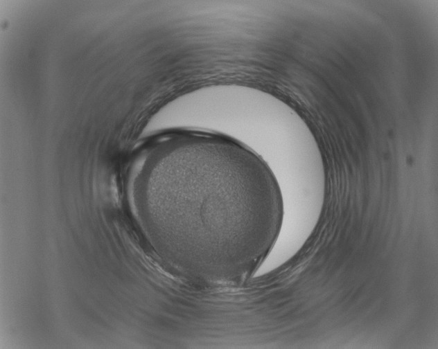 X0000068900237200605122108