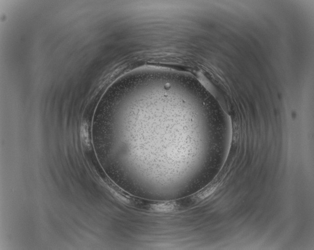 X0000068900238200605122108