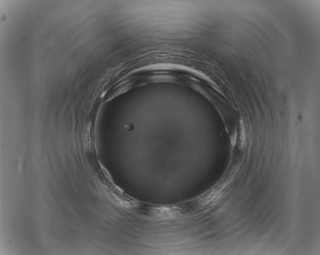 X0000068900239200605122108