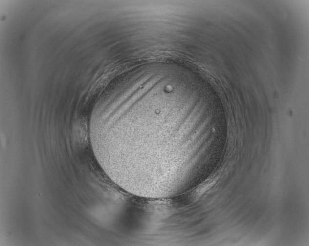 X0000068900240200605122108