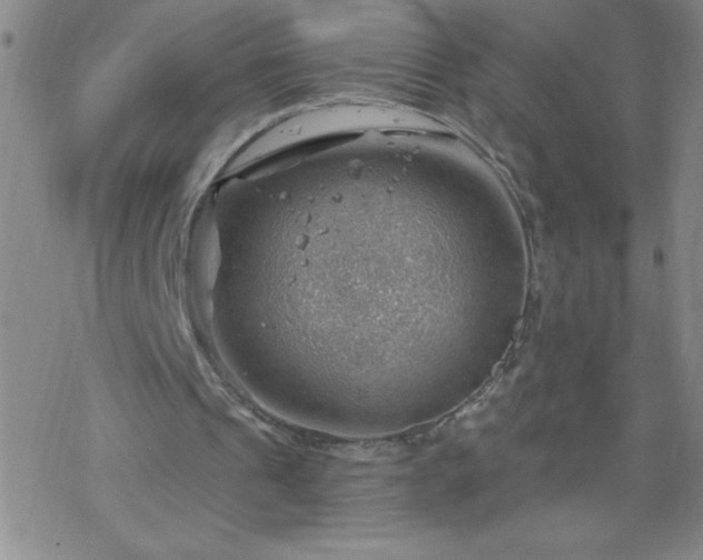 X0000068900241200605122107