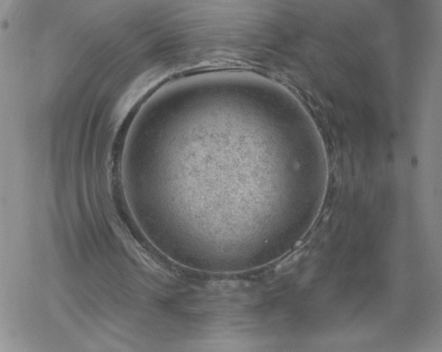 X0000068900242200605122107