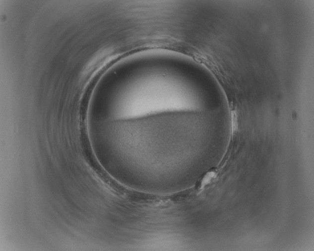 X0000068900243200605122107