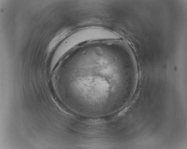 X0000068900245200605122107