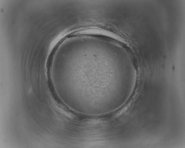 X0000068900246200605122107