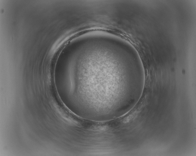 X0000068900247200605122107