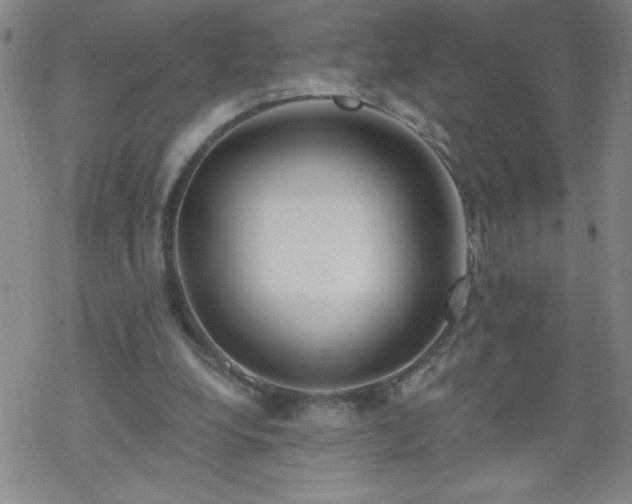 X0000068900248200605122107