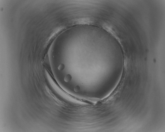 X0000068900249200605122107