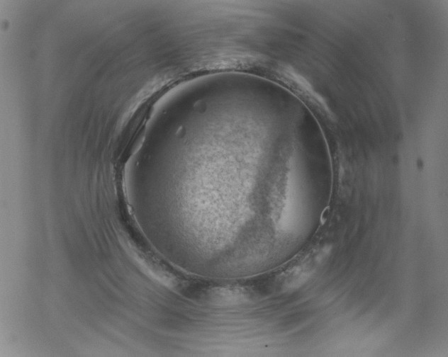 X0000068900250200605122107