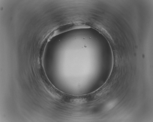 X0000068900251200605122107