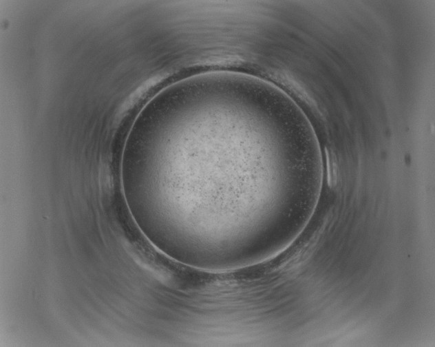 X0000068900252200605122107