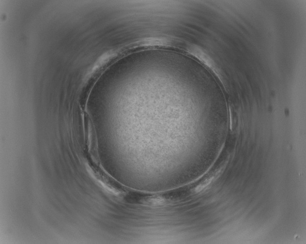 X0000068900253200605122107