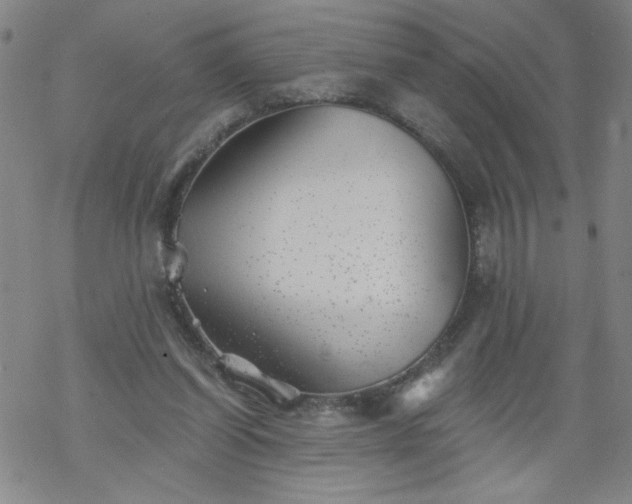 X0000068900254200605122107