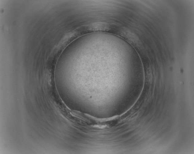 X0000068900255200605122107