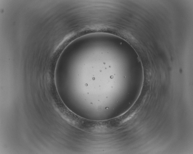 X0000068900256200605122107