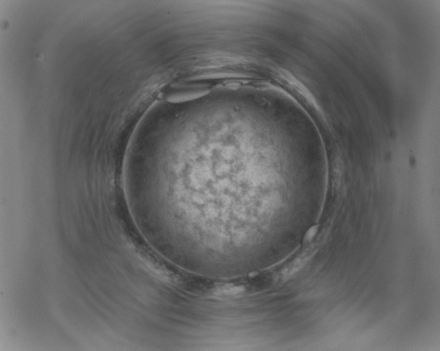 X0000068900257200605122107