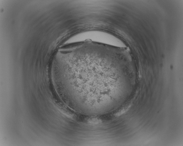 X0000068900258200605122107