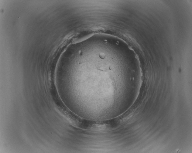 X0000068900260200605122107