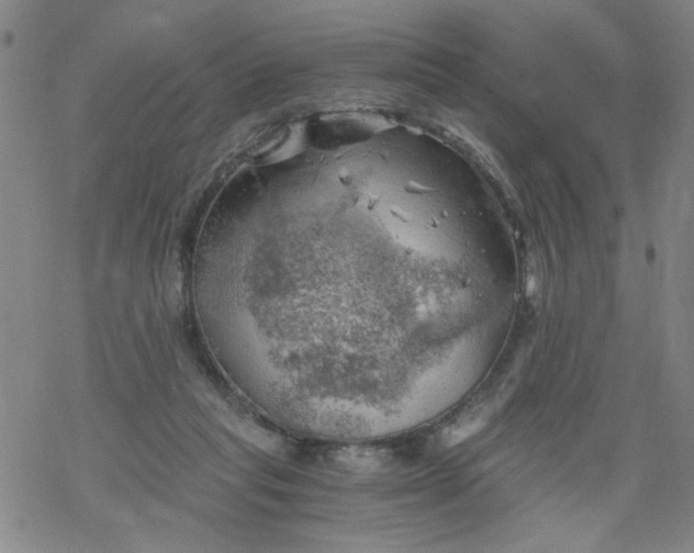 X0000068900261200605122107