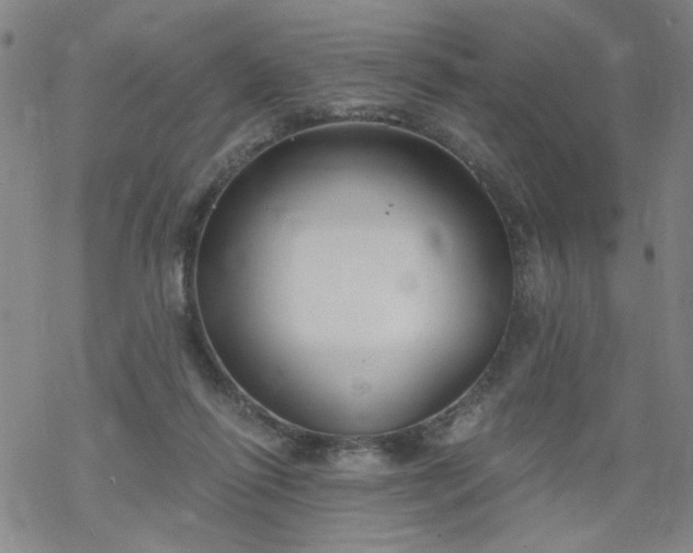 X0000068900262200605122107