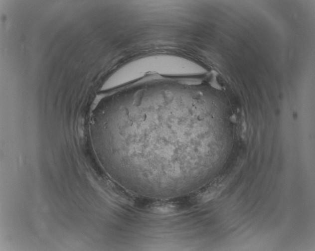 X0000068900263200605122107