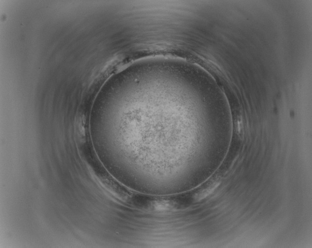 X0000068900264200605122107