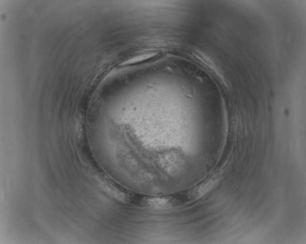 X0000068900265200605122107