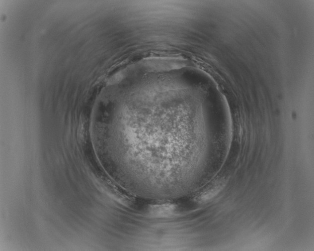 X0000068900266200605122107