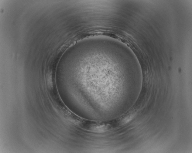 X0000068900267200605122107