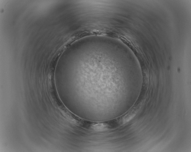 X0000068900269200605122107