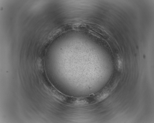 X0000068900270200605122107