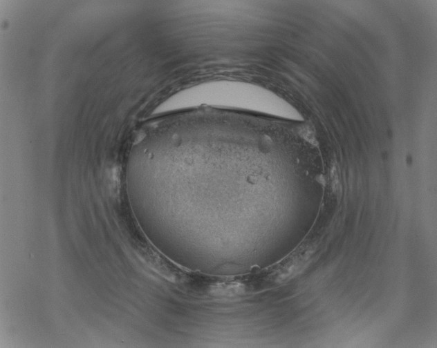 X0000068900271200605122107