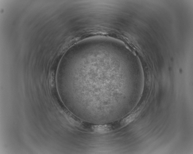 X0000068900273200605122107