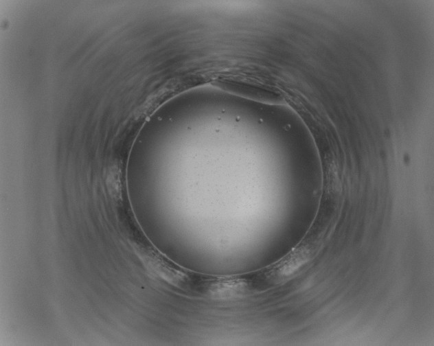 X0000068900274200605122107