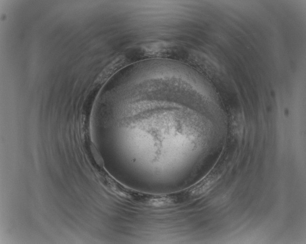 X0000068900275200605122107